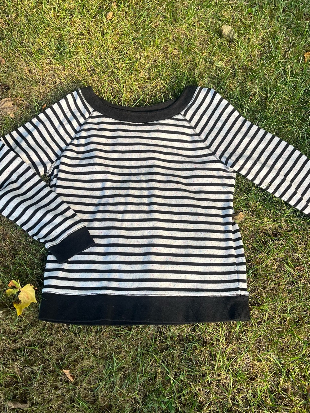 Talbots Top - Picture 4 of 8